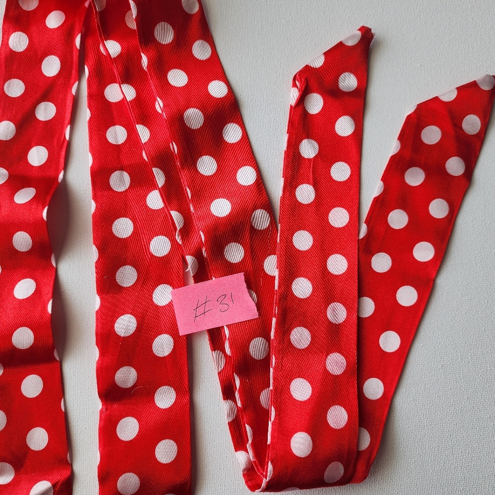 #31 2pc Set Twilly Red Polka Dot Ribbon